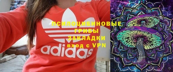 стафф Нефтегорск