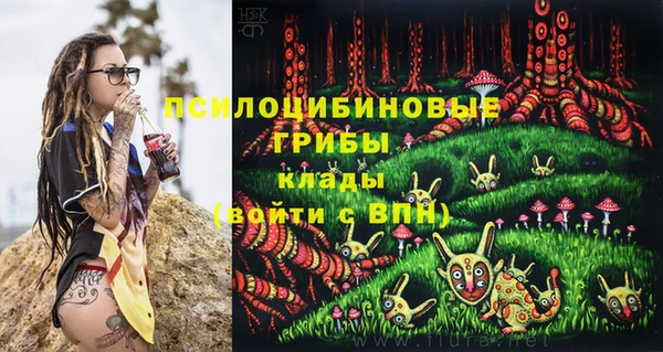 соль ск Навашино