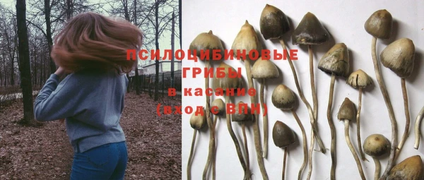 первитин Нея