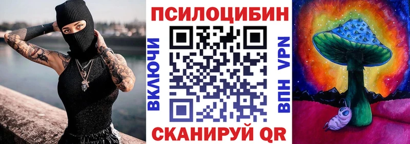 Галлюциногенные грибы Psilocybe  купить закладку  Нарьян-Мар 