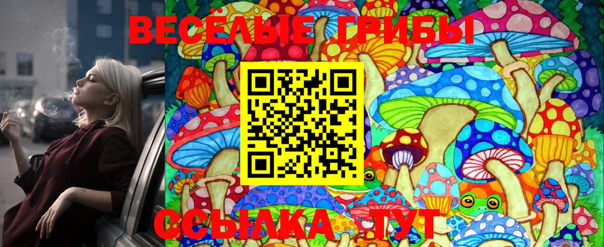 Псилоцибиновые грибы Psilocybine cubensis  Нарьян-Мар  Псилоцибиновые грибы GOLDEN TEACHER 