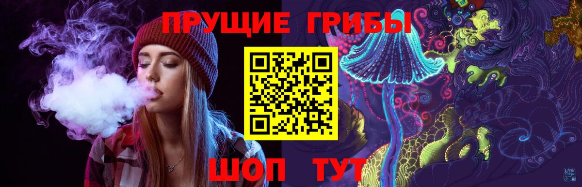 Нарьян-Мар  Псилоцибиновые грибы мицелий  Вход с VPN 